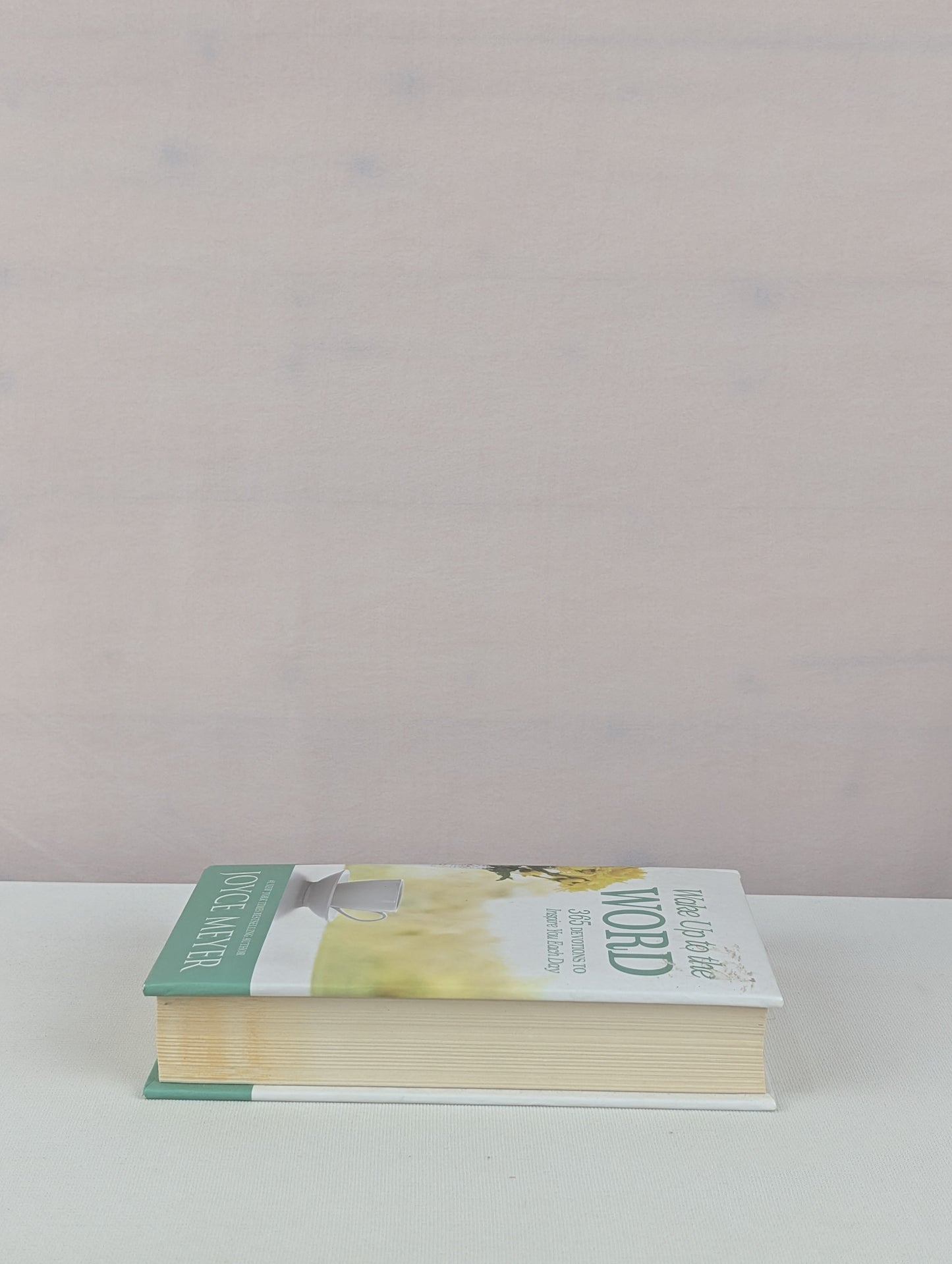 Wake Up to the Word: 365 Devotions to Inspire You Each Day by Joyce Meyer