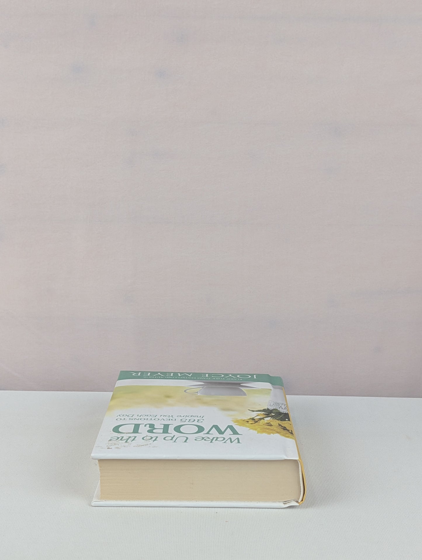 Wake Up to the Word: 365 Devotions to Inspire You Each Day by Joyce Meyer