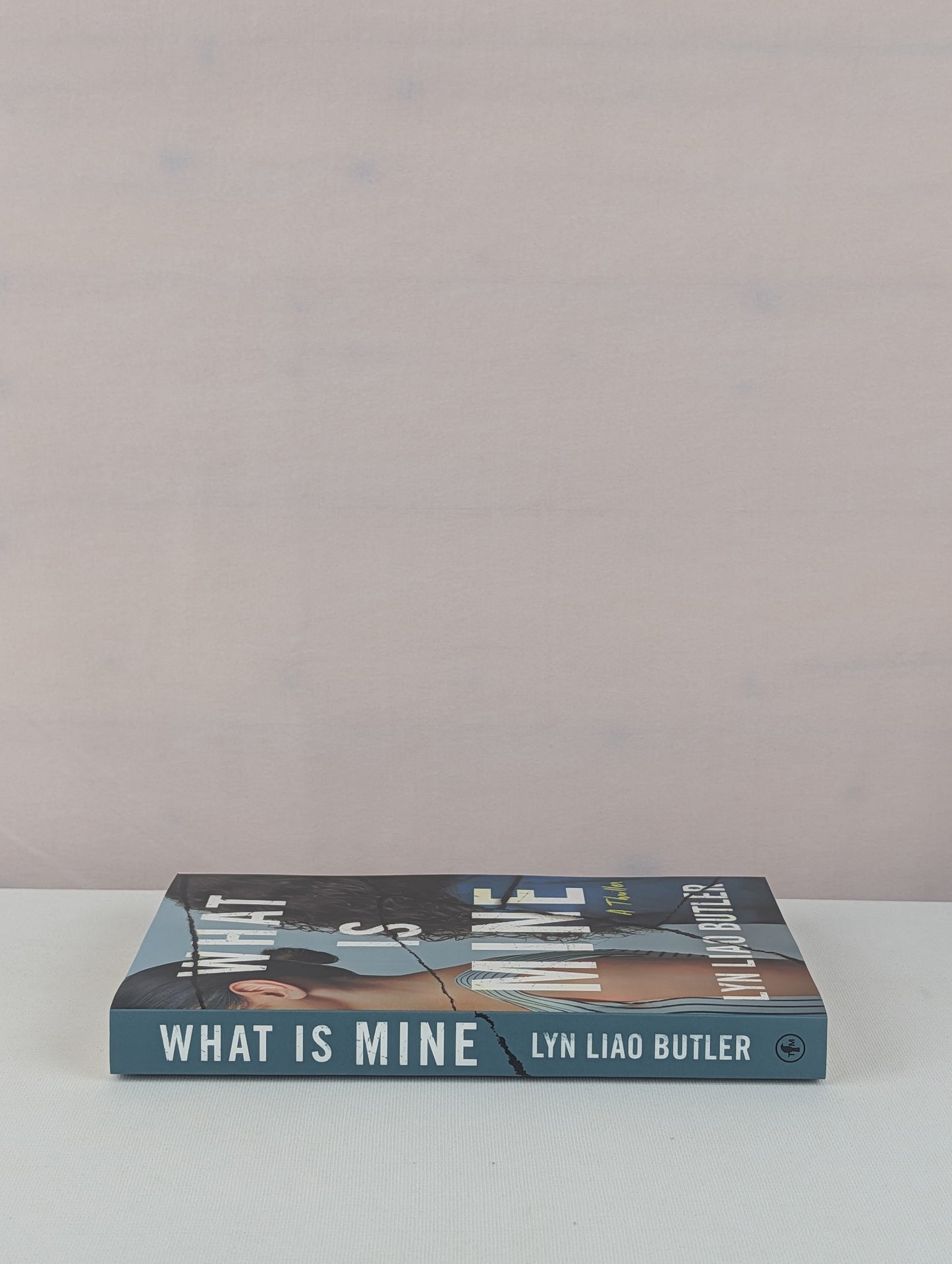 What Is Mine: A Thriller by Lyn Liao Butler