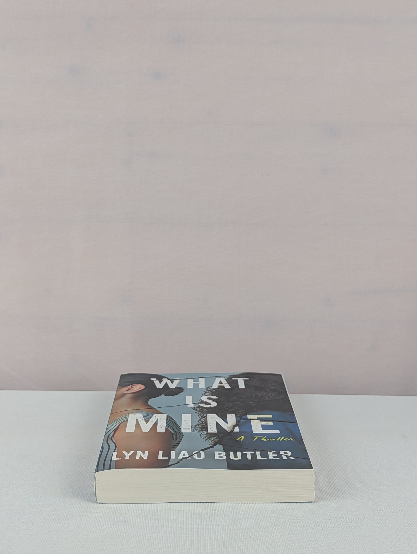 What Is Mine: A Thriller by Lyn Liao Butler