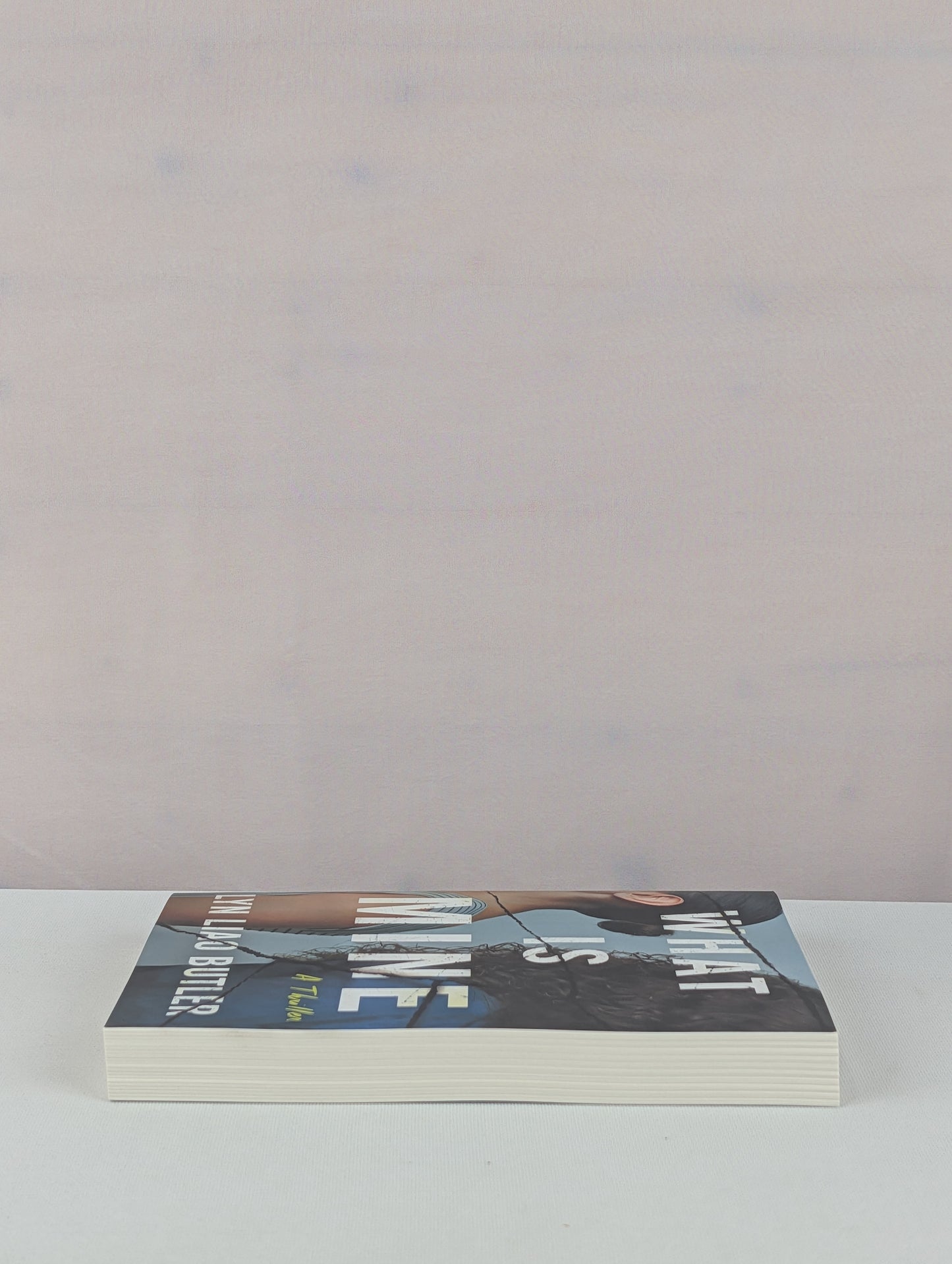 What Is Mine: A Thriller by Lyn Liao Butler