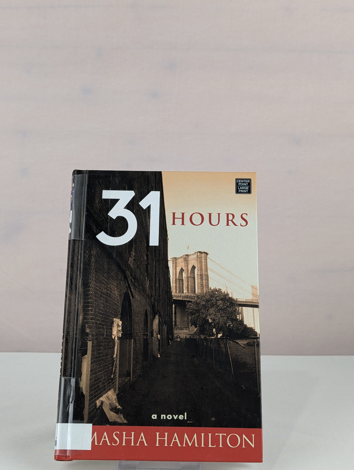 31 Hours (Center Point Platinum Reader's Circle (Large Print)) by Masha Hamilton