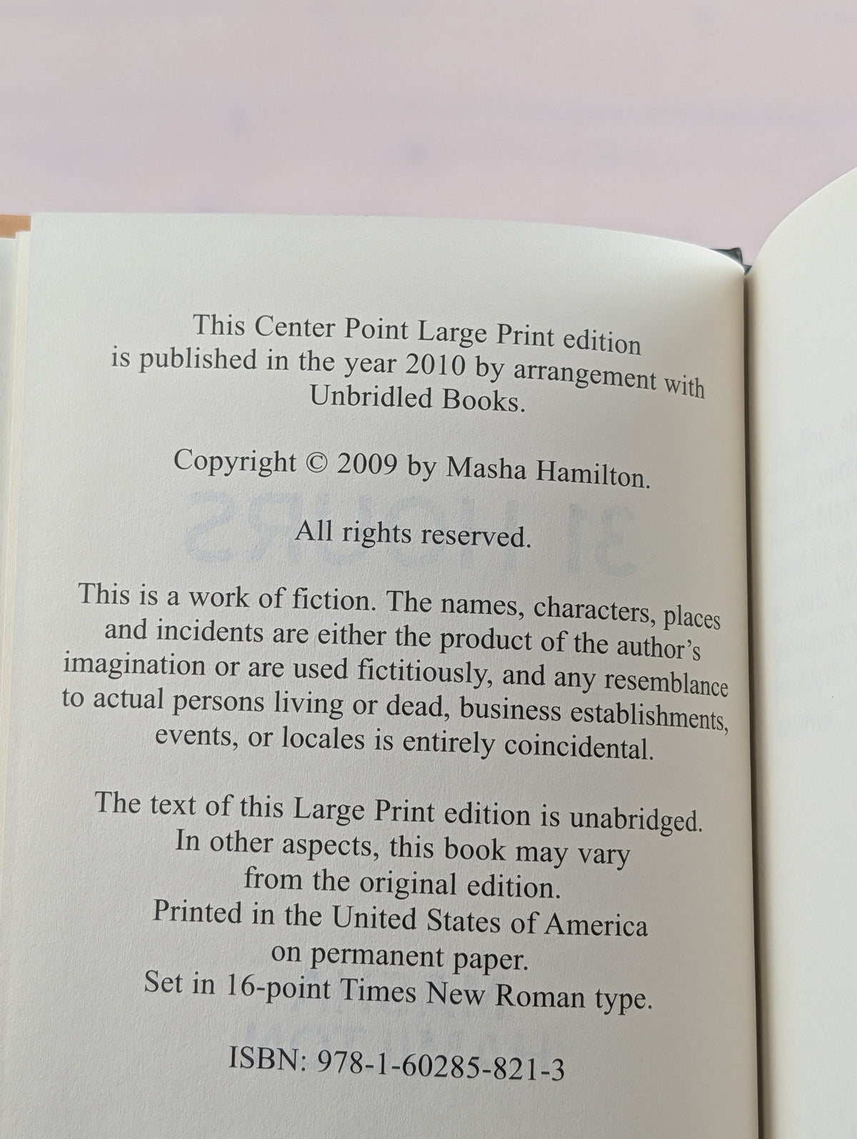 31 Hours (Center Point Platinum Reader's Circle (Large Print)) by Masha Hamilton