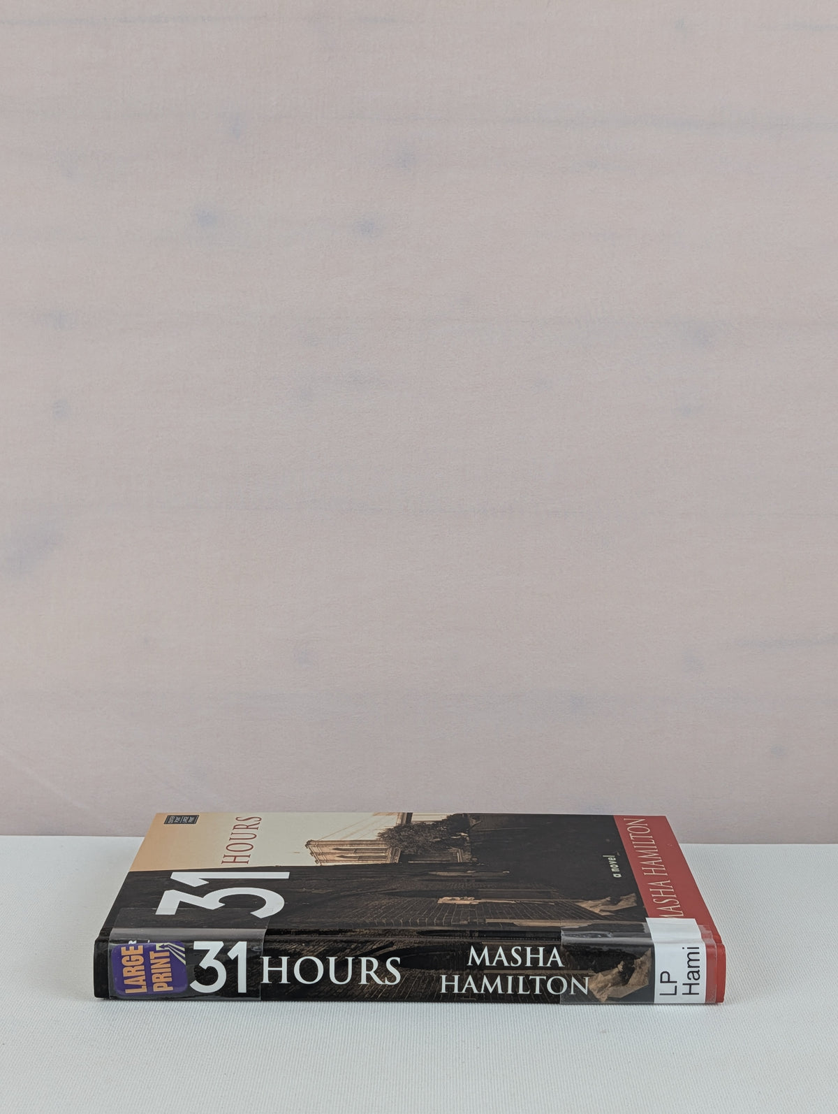 31 Hours (Center Point Platinum Reader's Circle (Large Print)) by Masha Hamilton