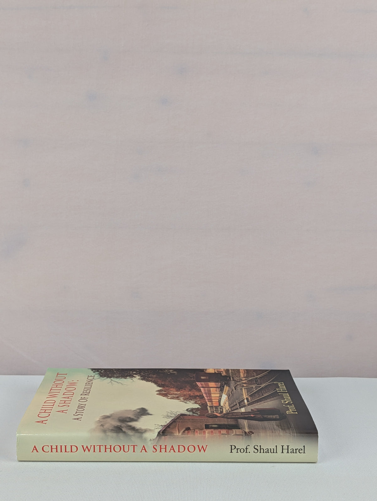 A Child Without a Shadow by Prof. Shaul Harel, Dalia Harel, Ela Moscovitch-Weiss
