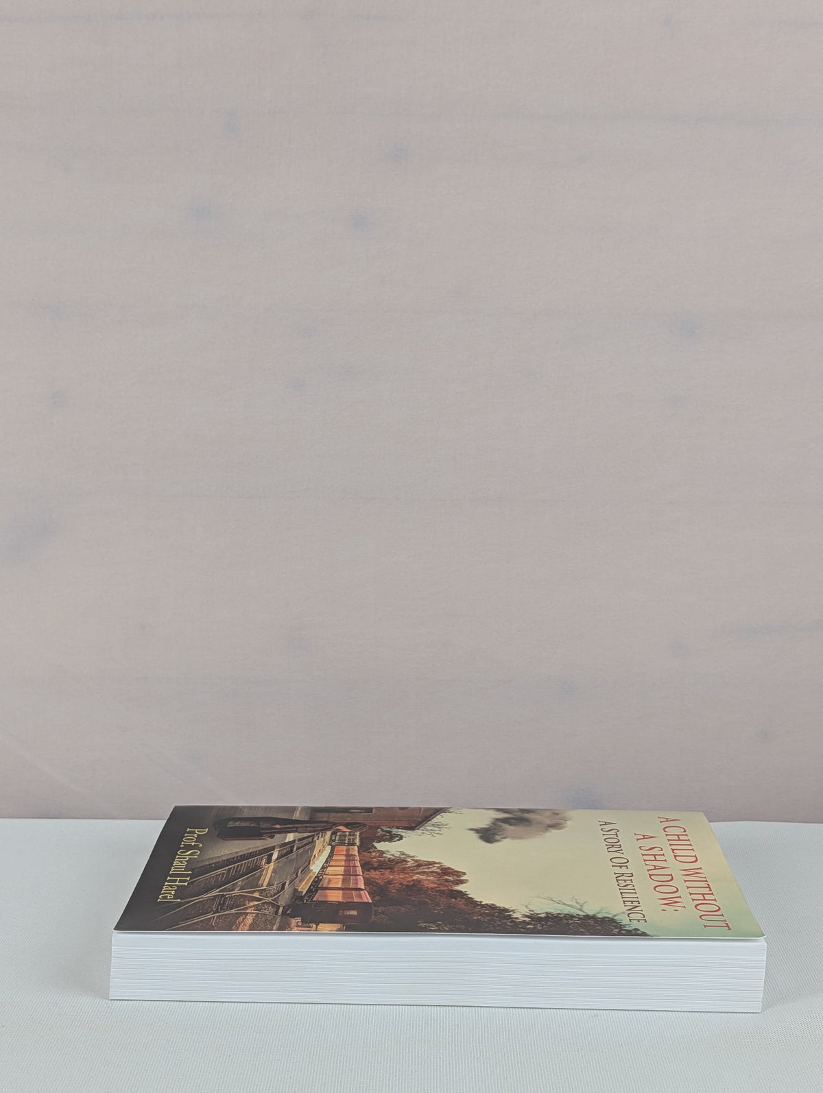 A Child Without a Shadow by Prof. Shaul Harel, Dalia Harel, Ela Moscovitch-Weiss