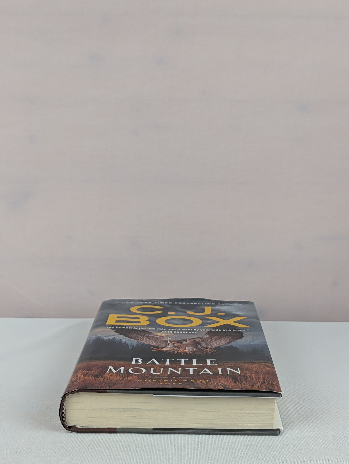 Battle Mountain (A Joe Pickett Novel) by C.J. Box