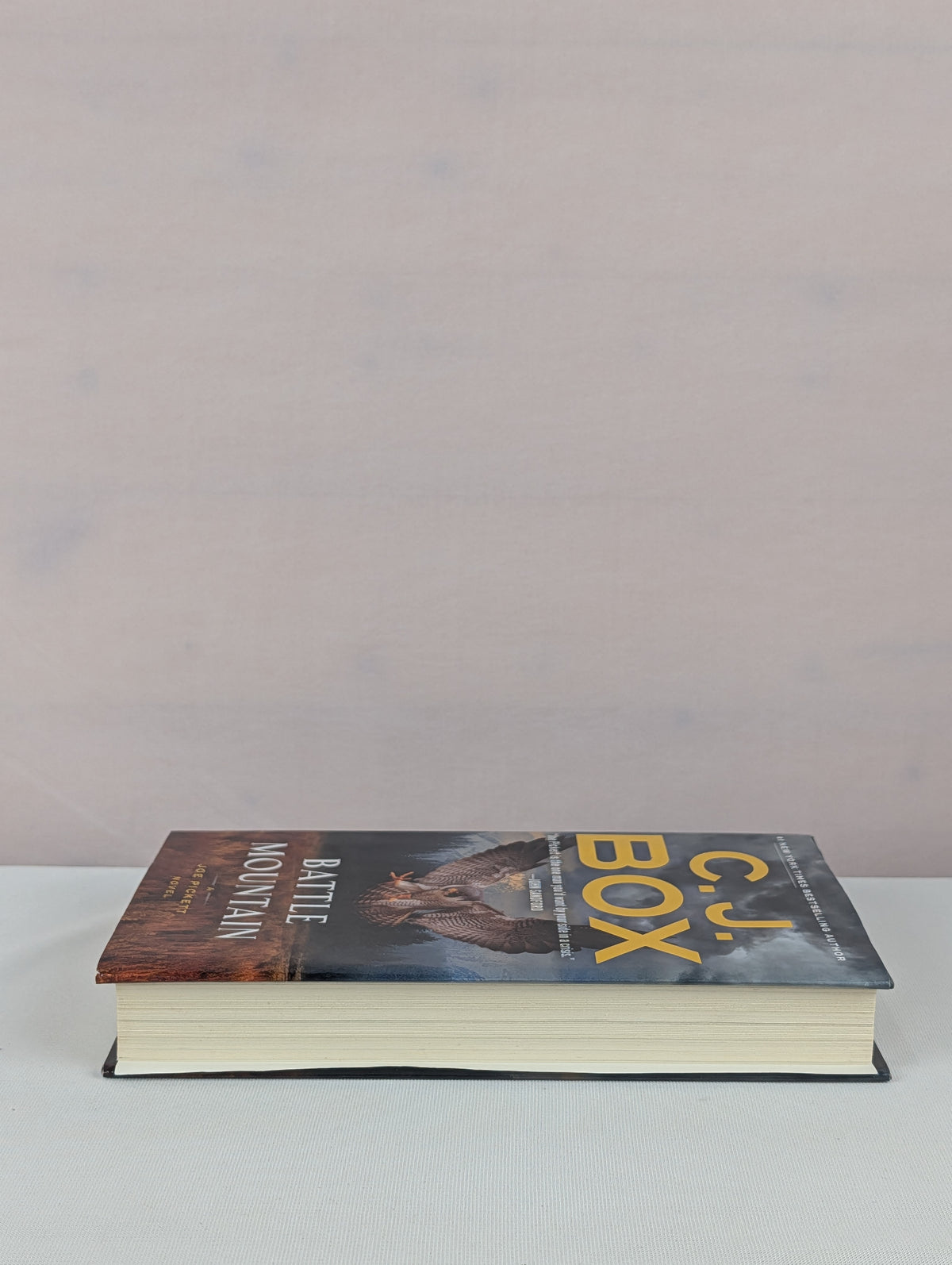Battle Mountain (A Joe Pickett Novel) by C.J. Box