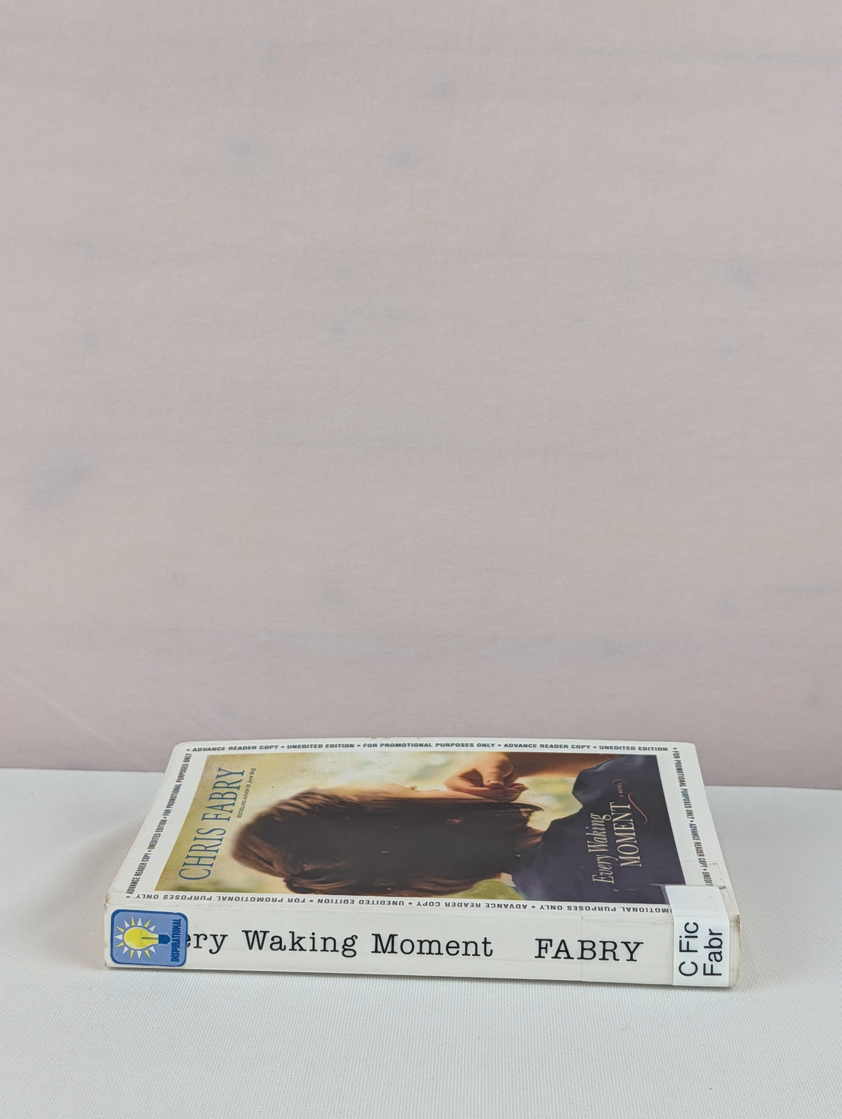 Every Waking Moment by Chris Fabry