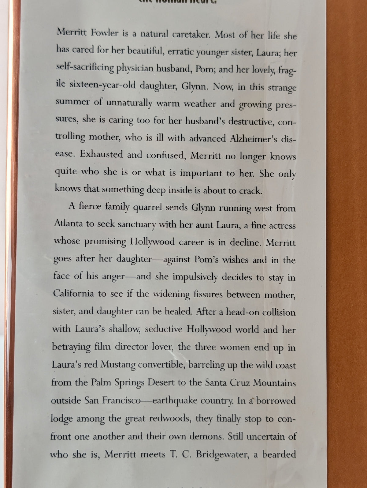 Fault Lines : A Novel by Anne Rivers Siddons