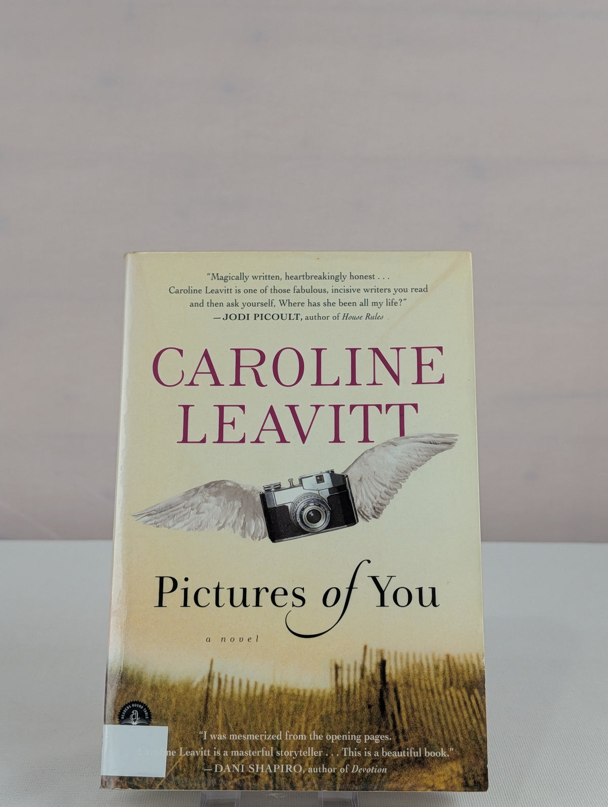 Pictures of You by Caroline Leavitt