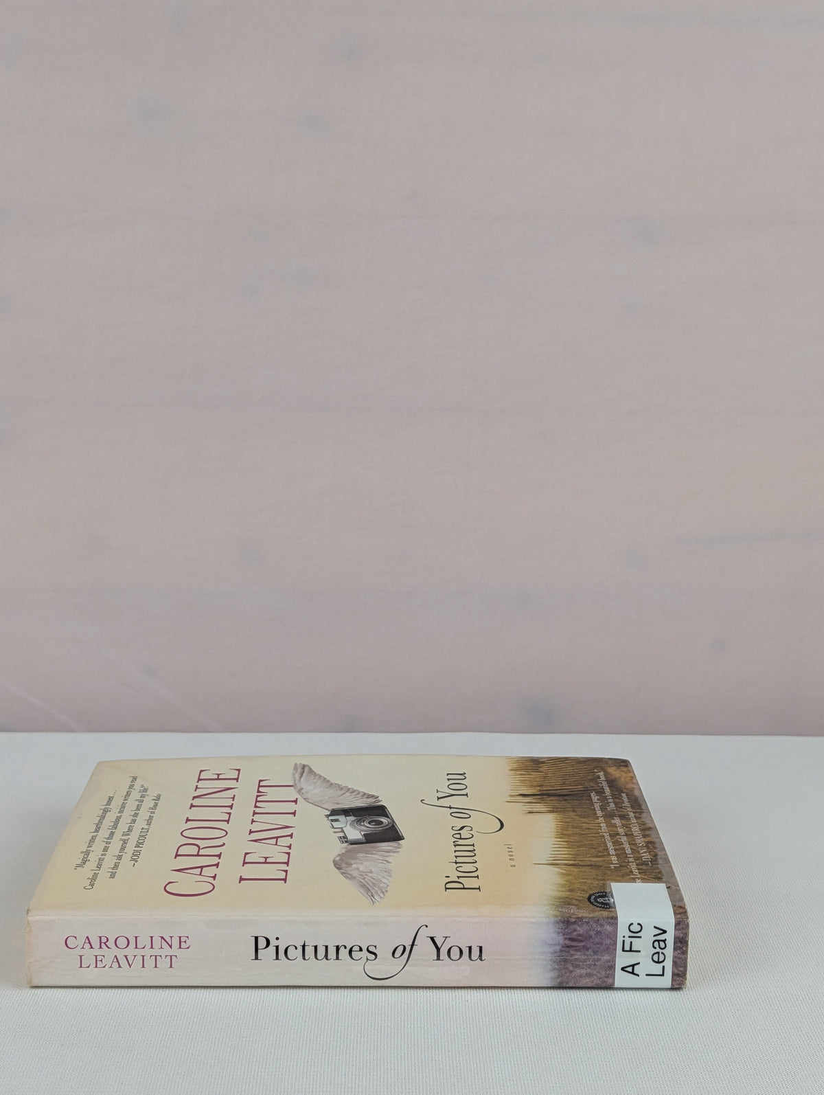 Pictures of You by Caroline Leavitt
