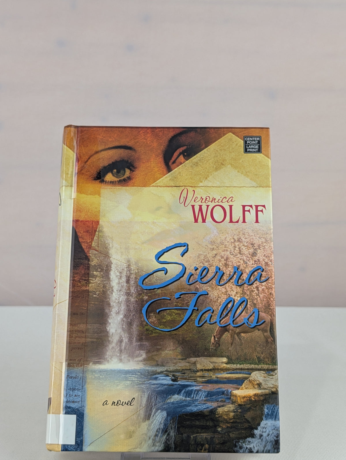 Sierra Falls by Veronica Wolff