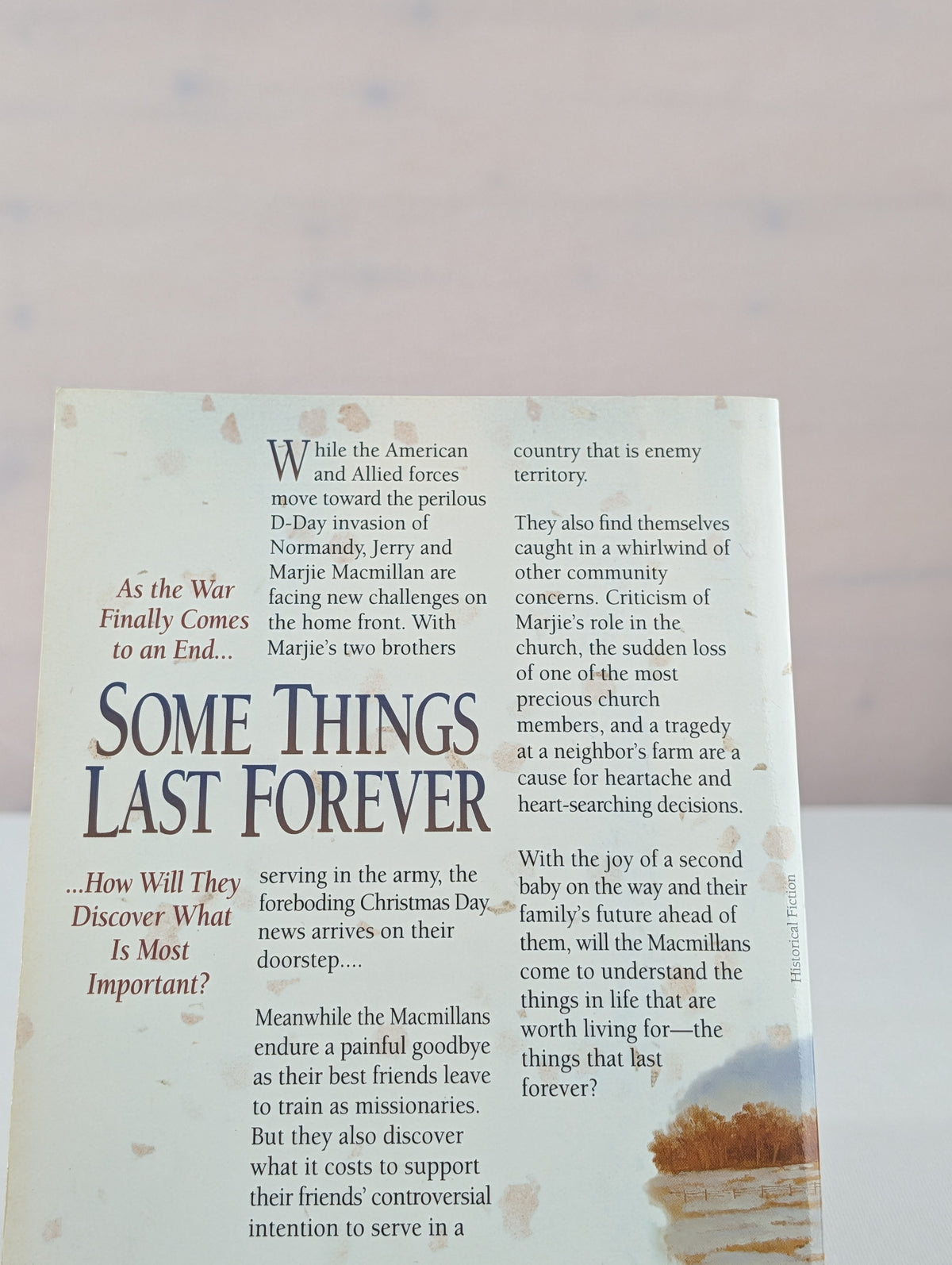 Some Things Last Forever (The Gentle Hills, Book 4) by Lance Wubbels