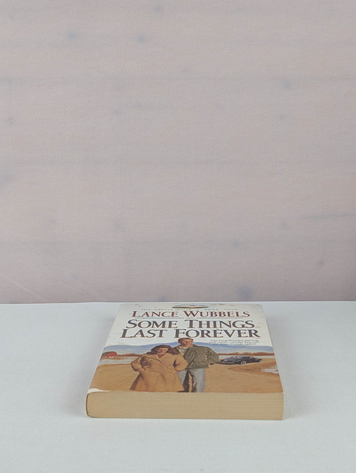 Some Things Last Forever (The Gentle Hills, Book 4) by Lance Wubbels