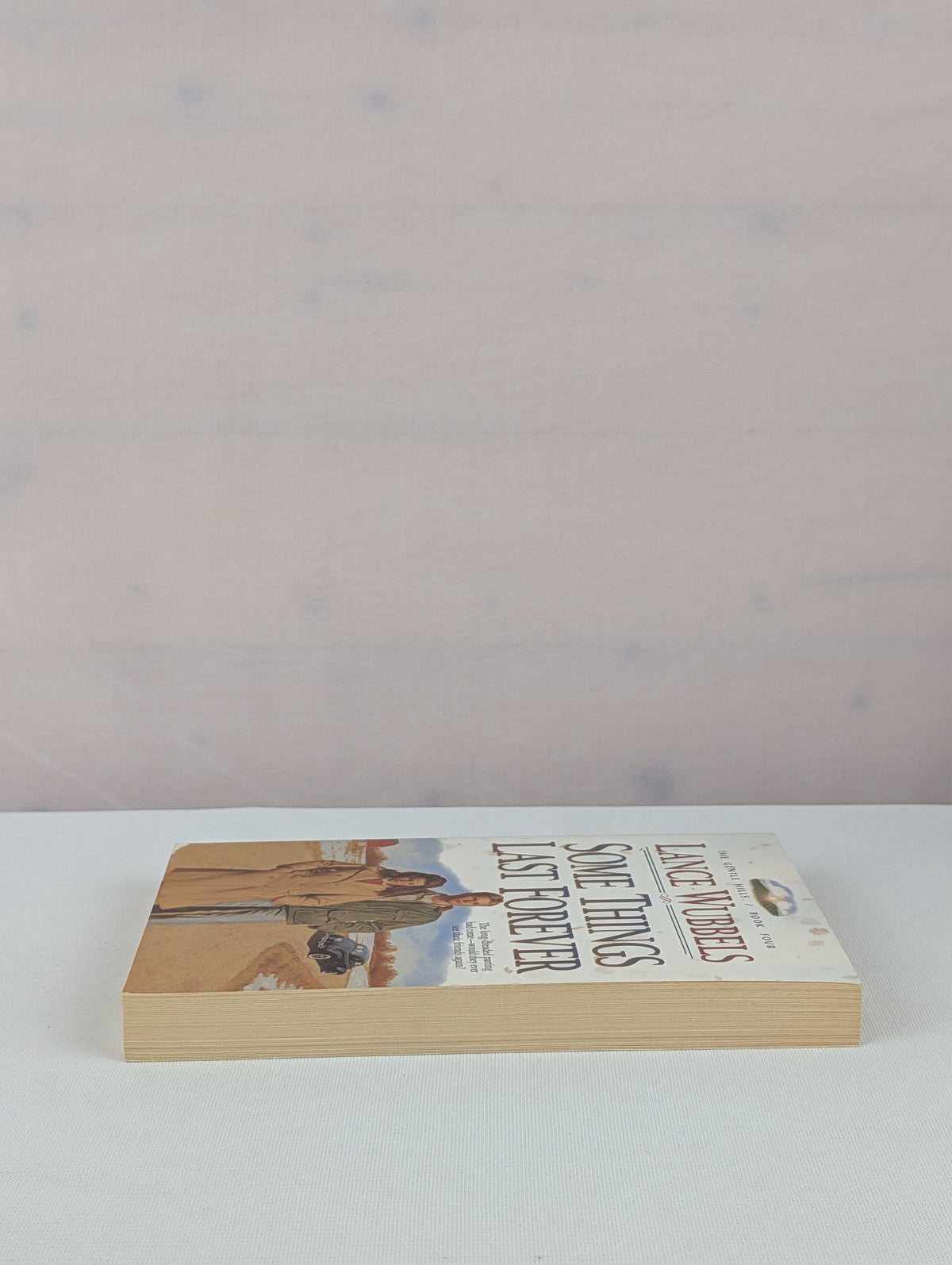 Some Things Last Forever (The Gentle Hills, Book 4) by Lance Wubbels