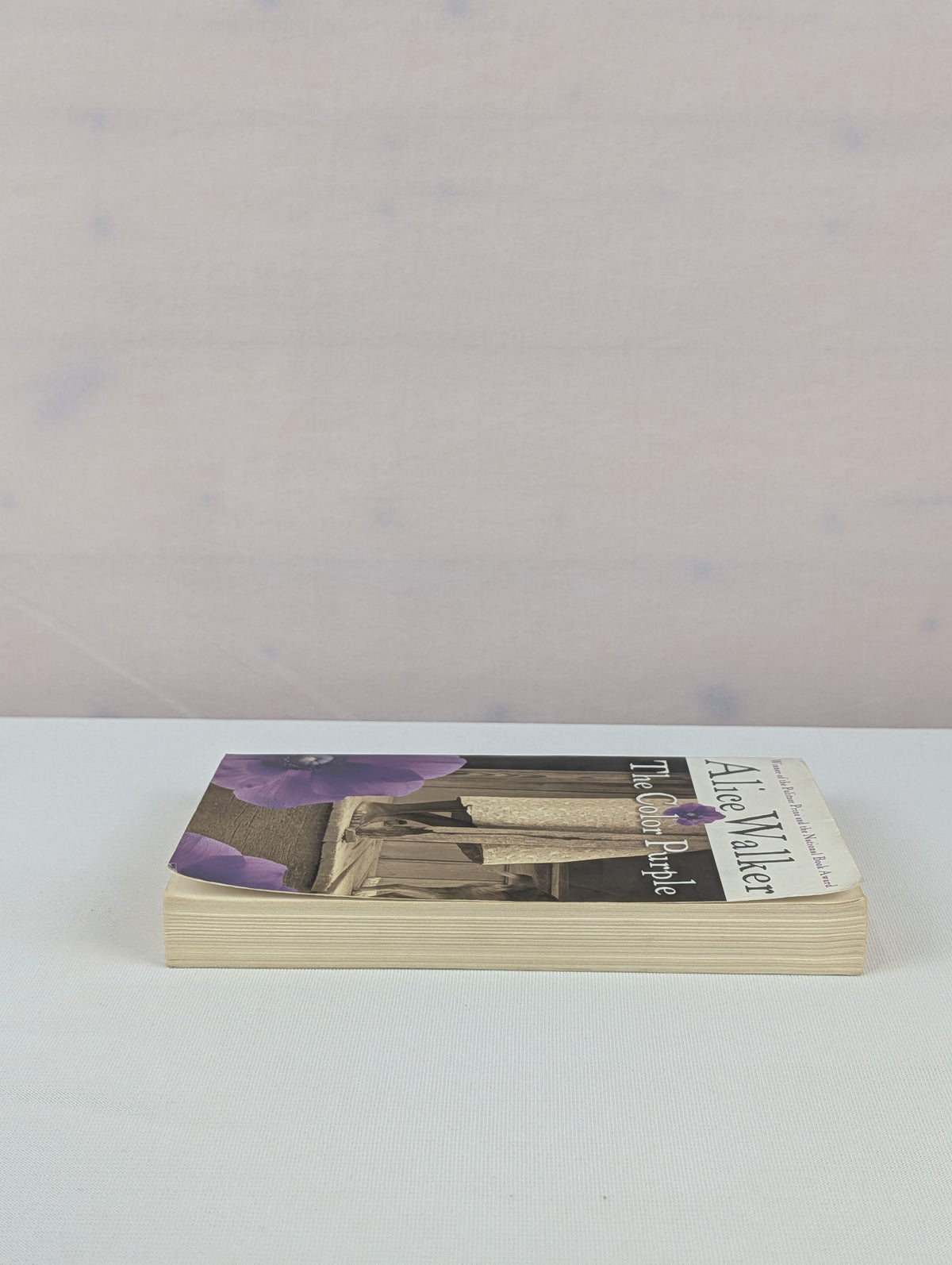 The Color Purple by Alice Walker