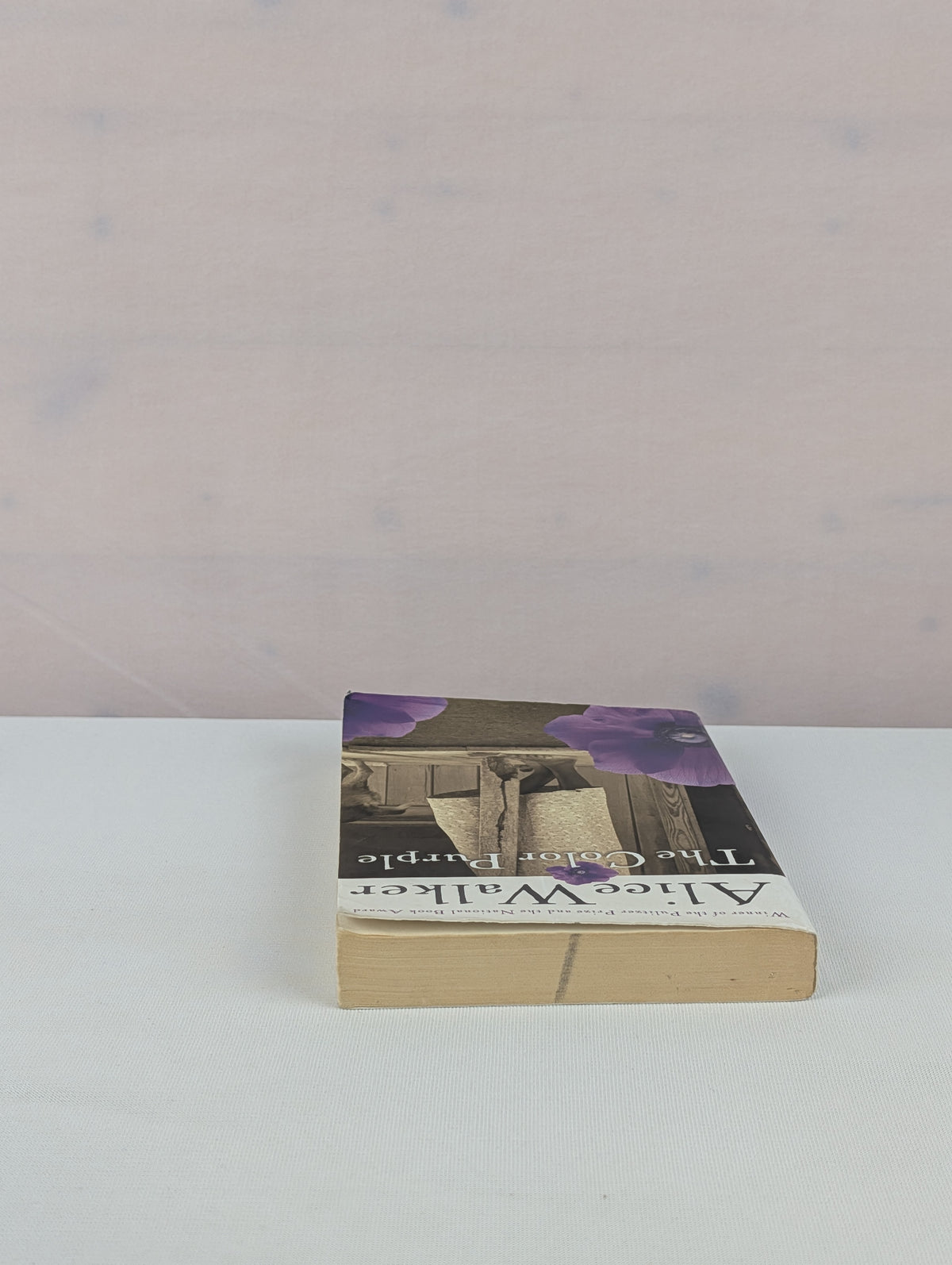 The Color Purple by Alice Walker