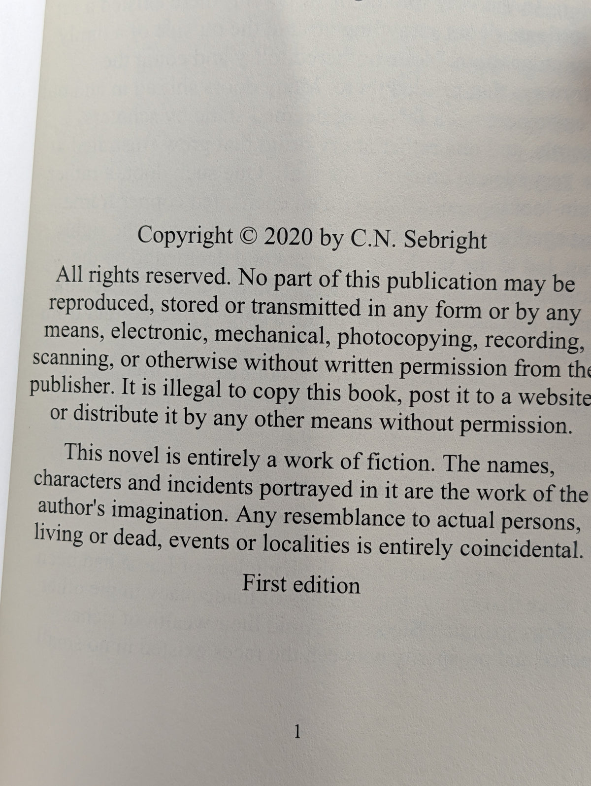 The Man of Elansia (The Mage-Extraordinaire) by C.N. Sebright