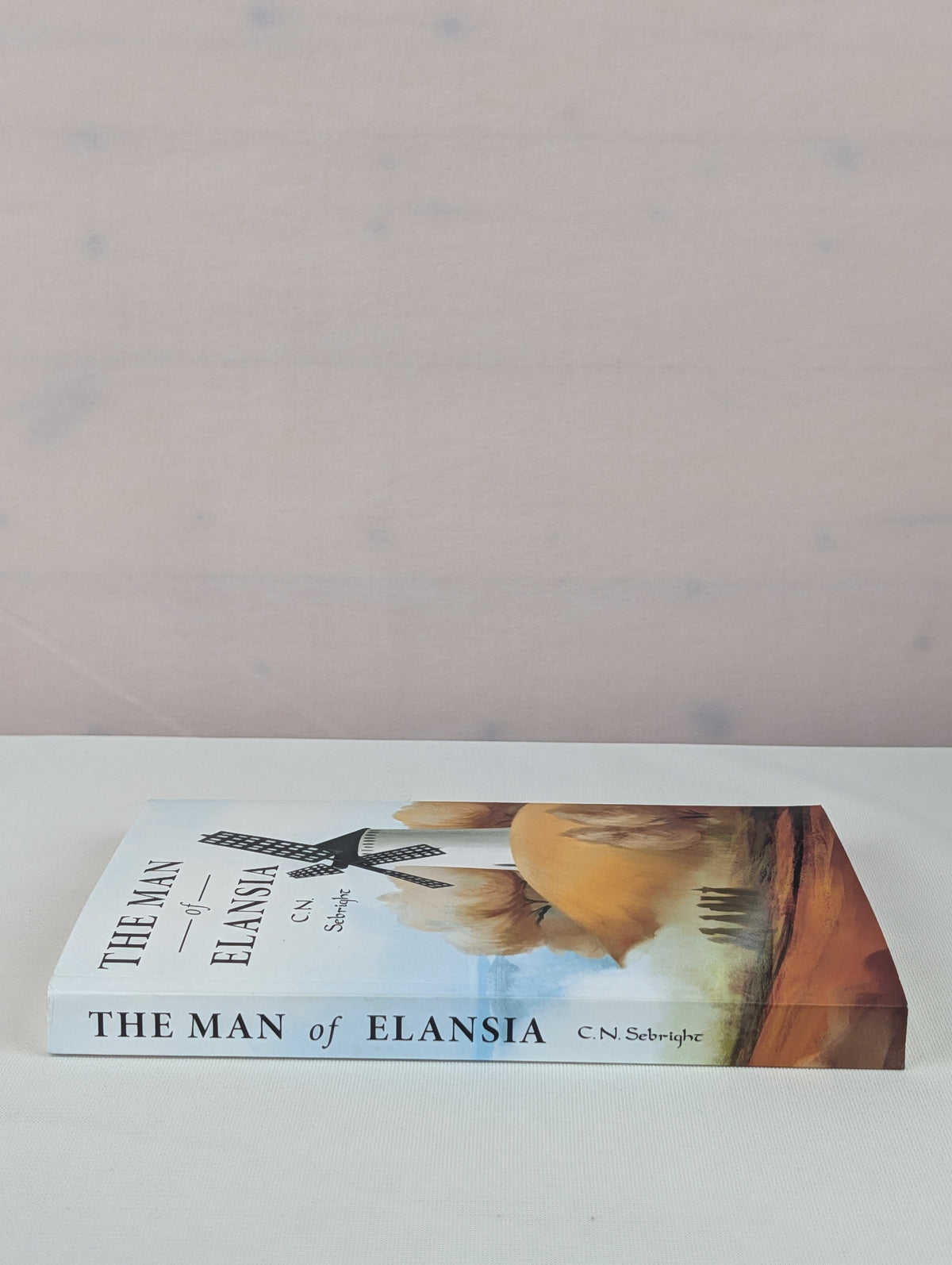 The Man of Elansia (The Mage-Extraordinaire) by C.N. Sebright