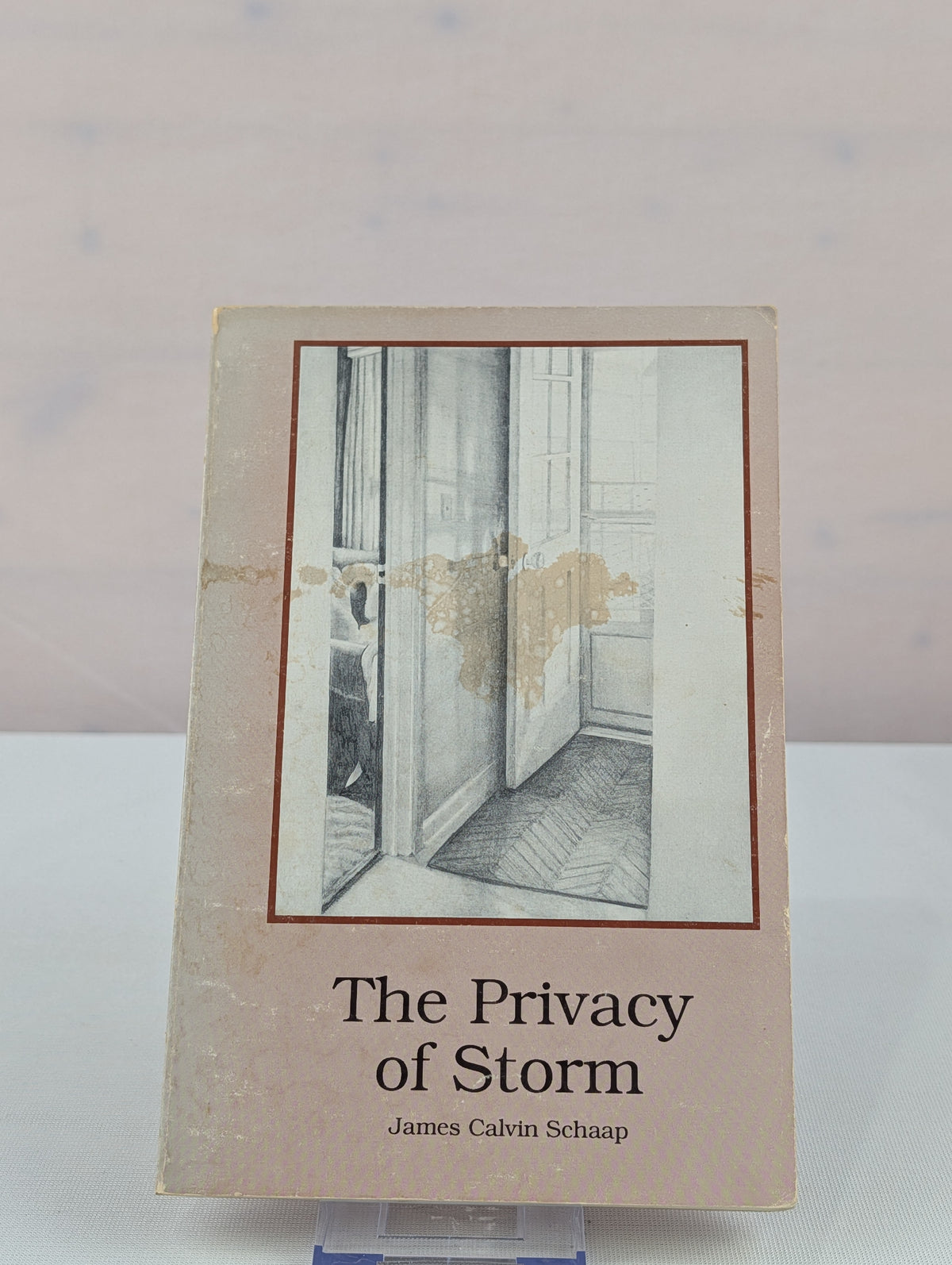 The Privacy of Storm by James Calvin Schaap