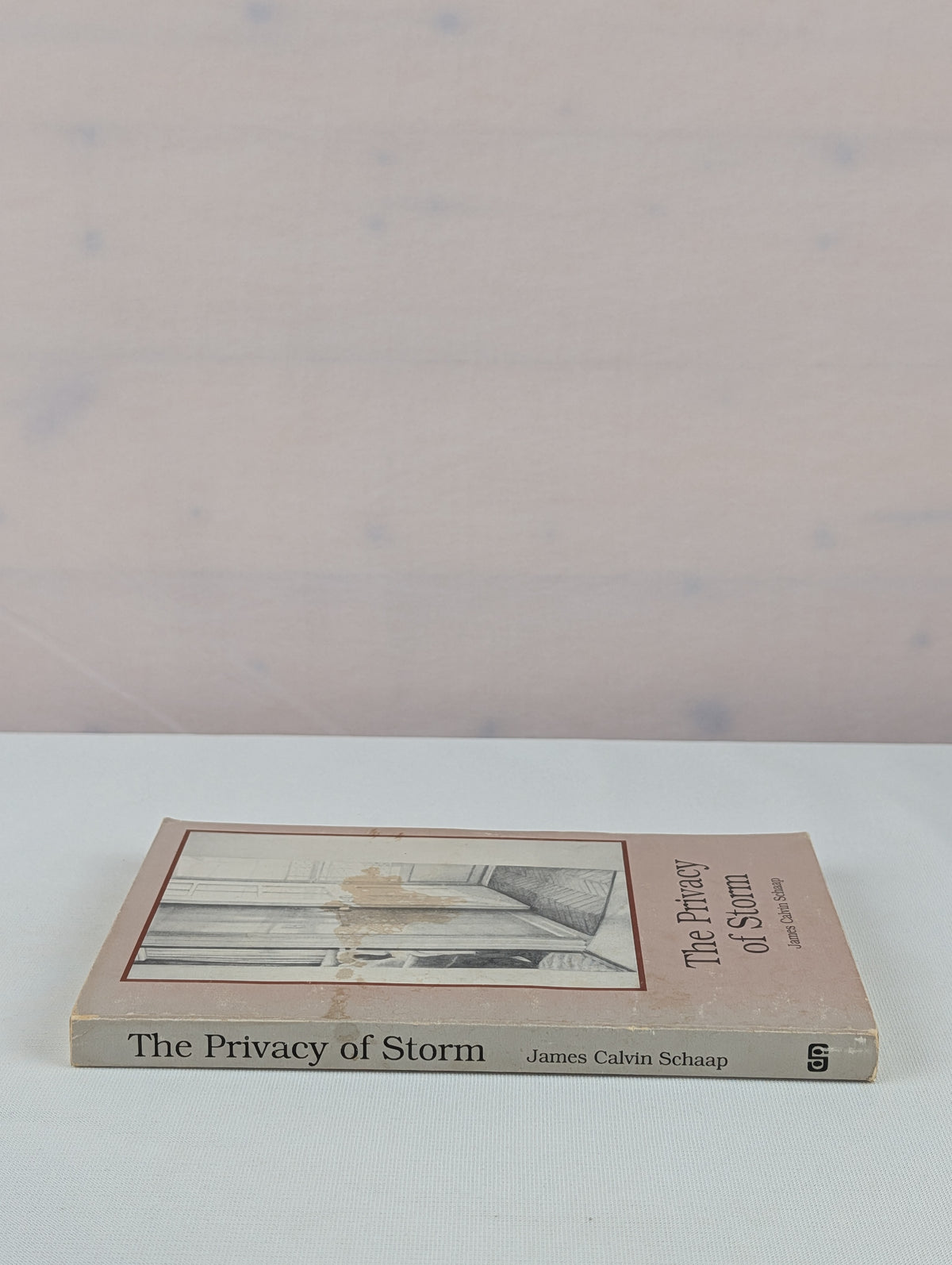 The Privacy of Storm by James Calvin Schaap