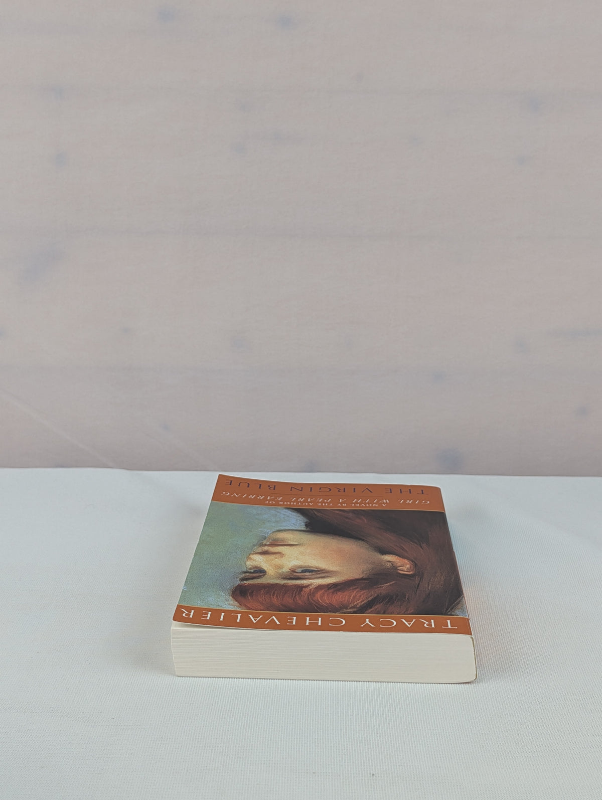 The Virgin Blue: A Novel by Tracy Chevalier