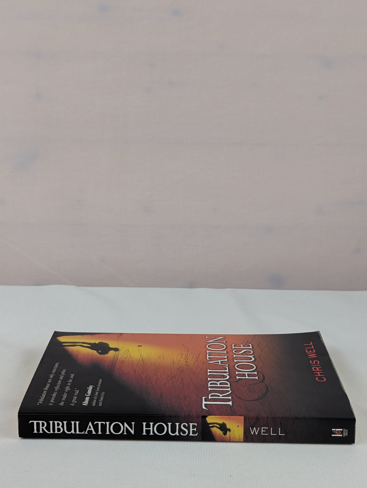 Tribulation House by Chris Well