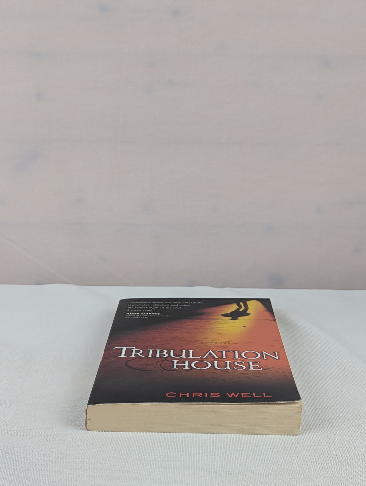 Tribulation House by Chris Well