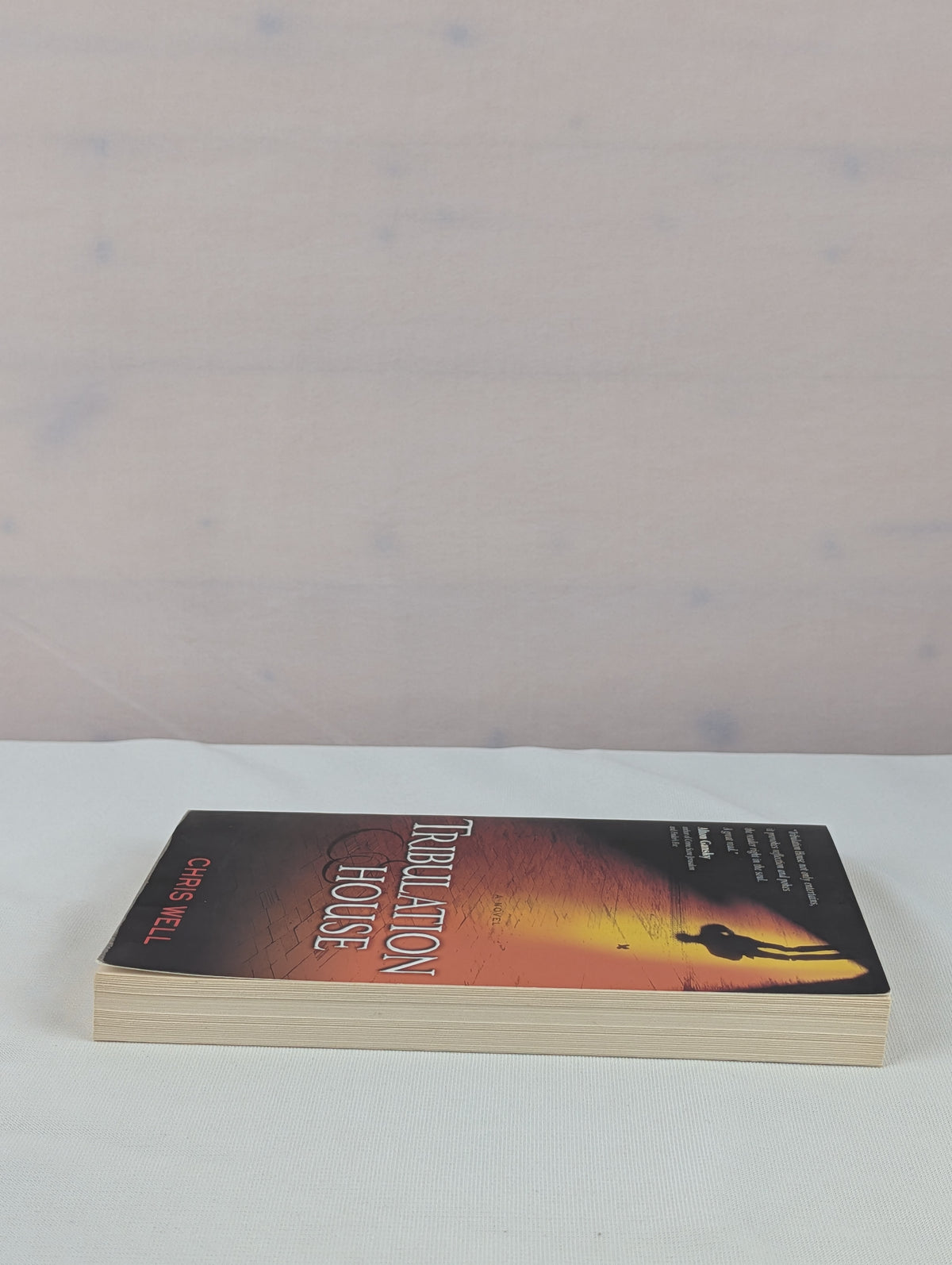 Tribulation House by Chris Well