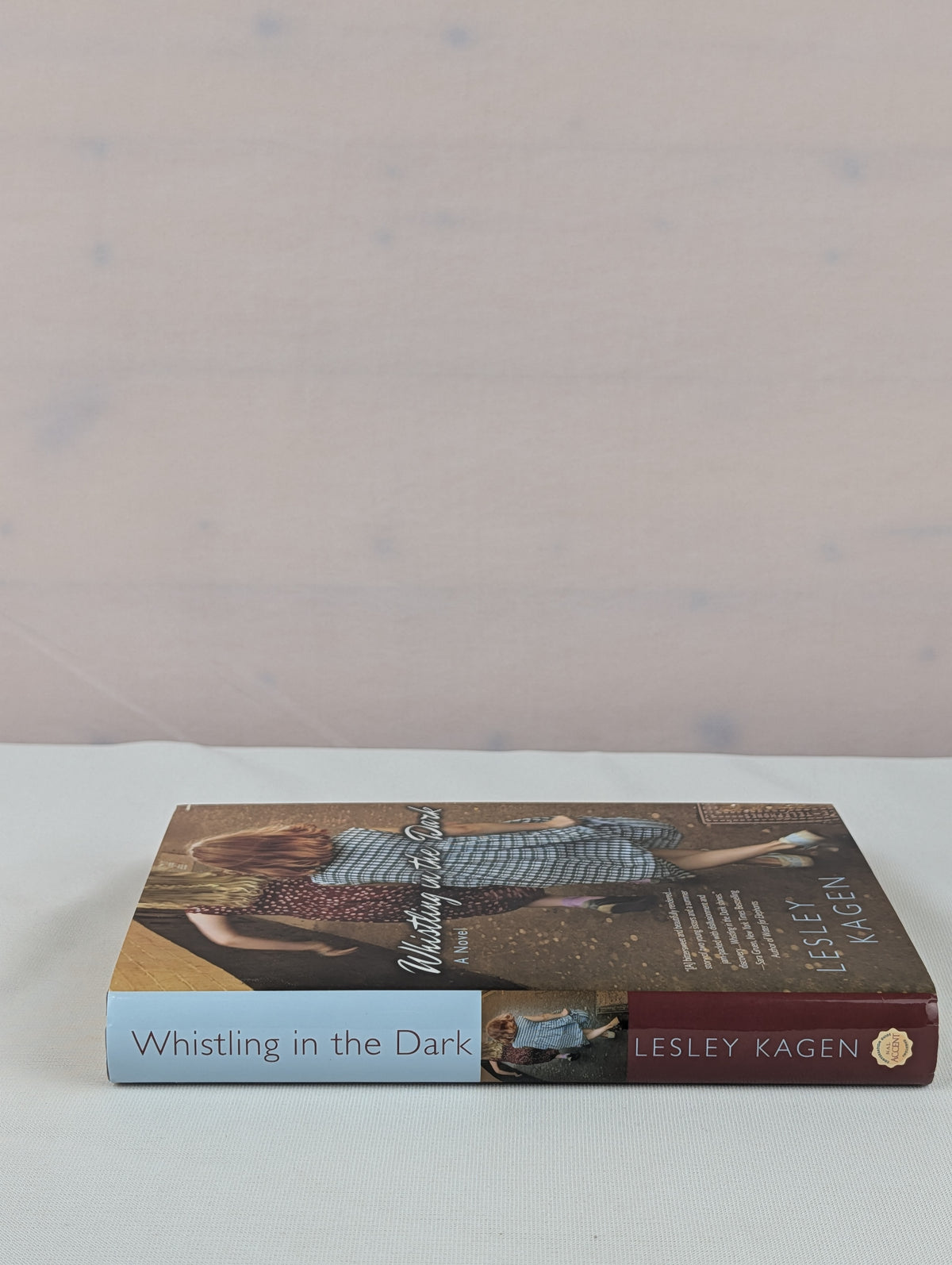 Whistling in the Dark by Lesley Kagen