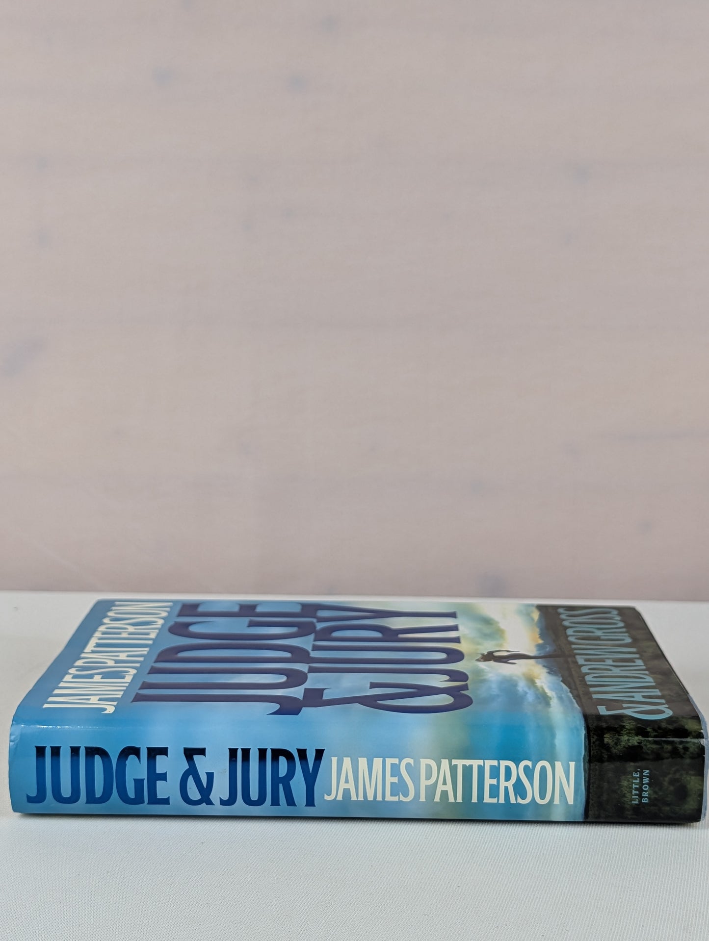 Judge & Jury by James Patterson, Andrew Gross
